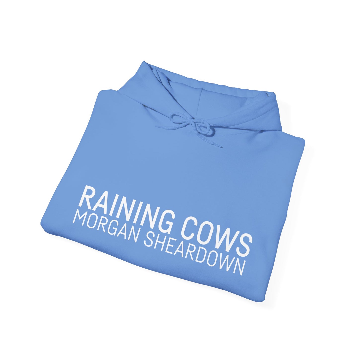RAINING COWS Hoodie