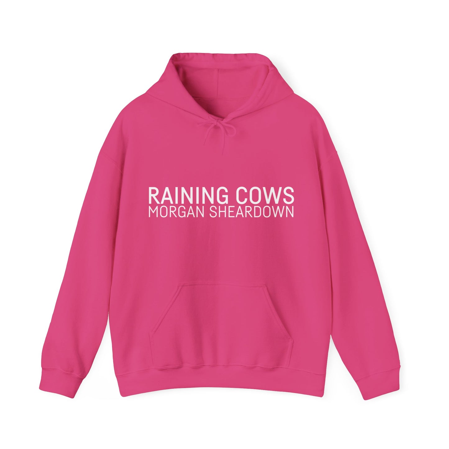 RAINING COWS Hoodie