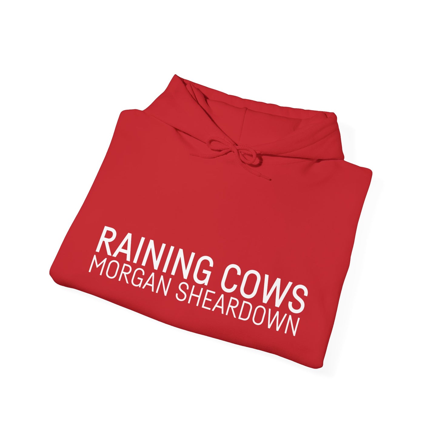 RAINING COWS Hoodie