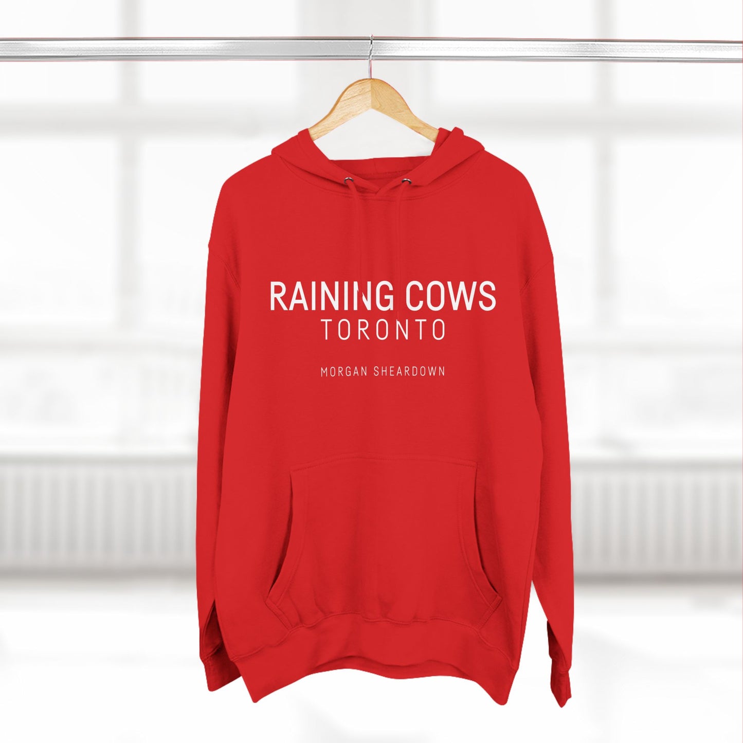 RAINING COWS "Tear Stained Sky" Hoodie