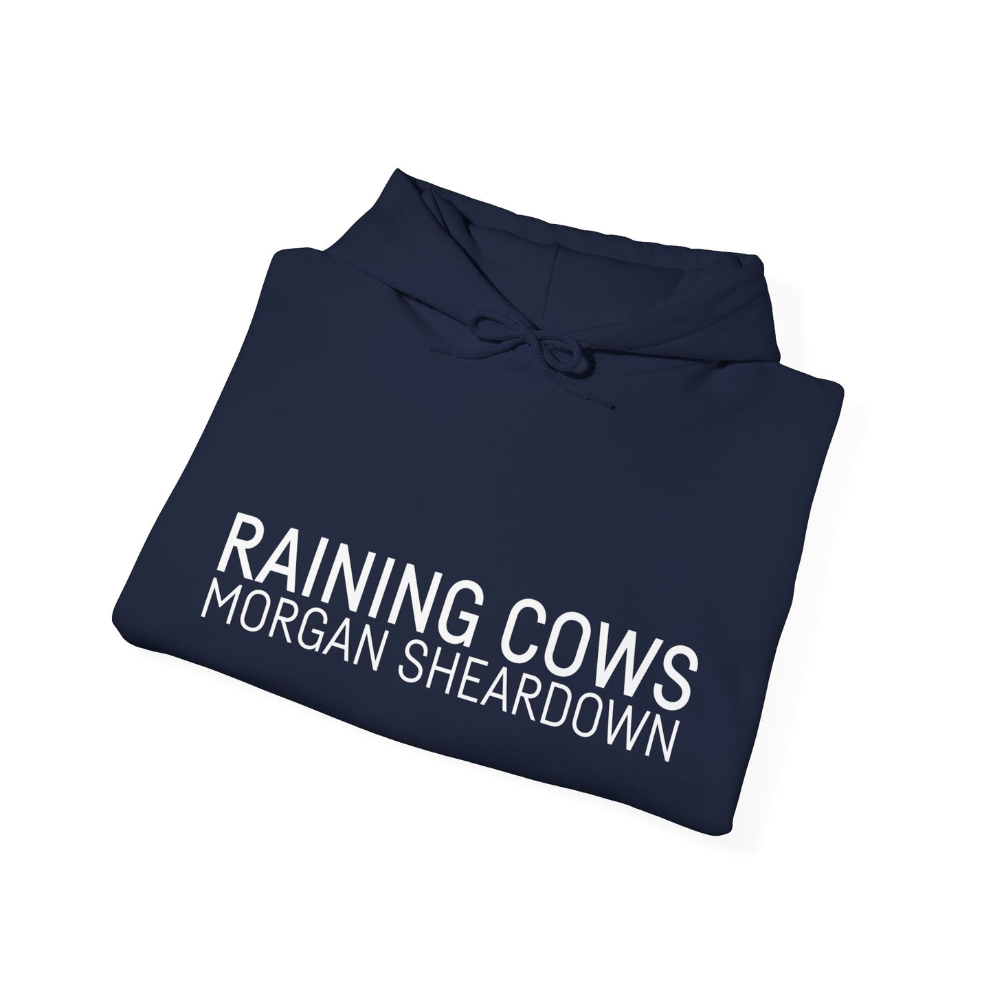 RAINING COWS Hoodie