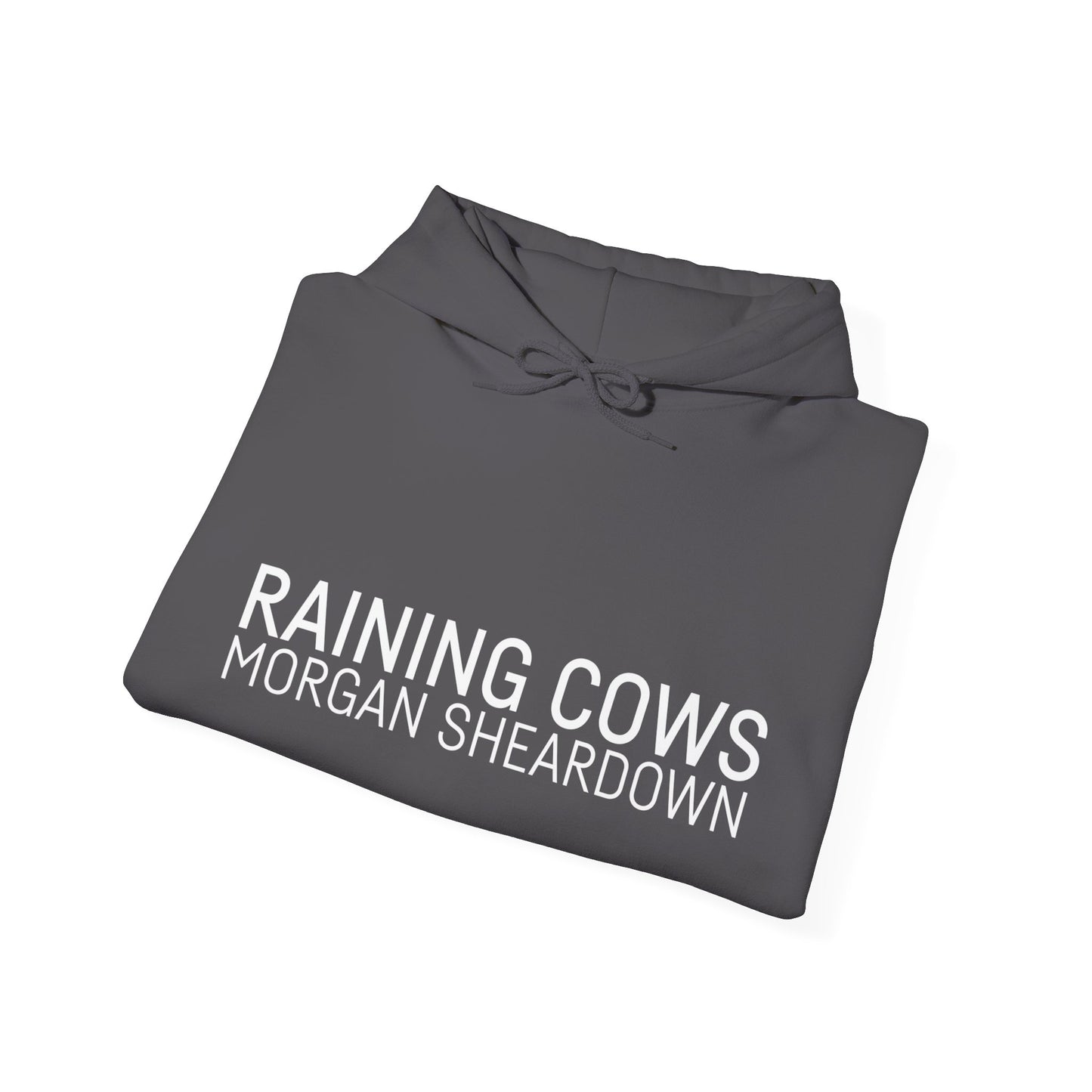 RAINING COWS Hoodie