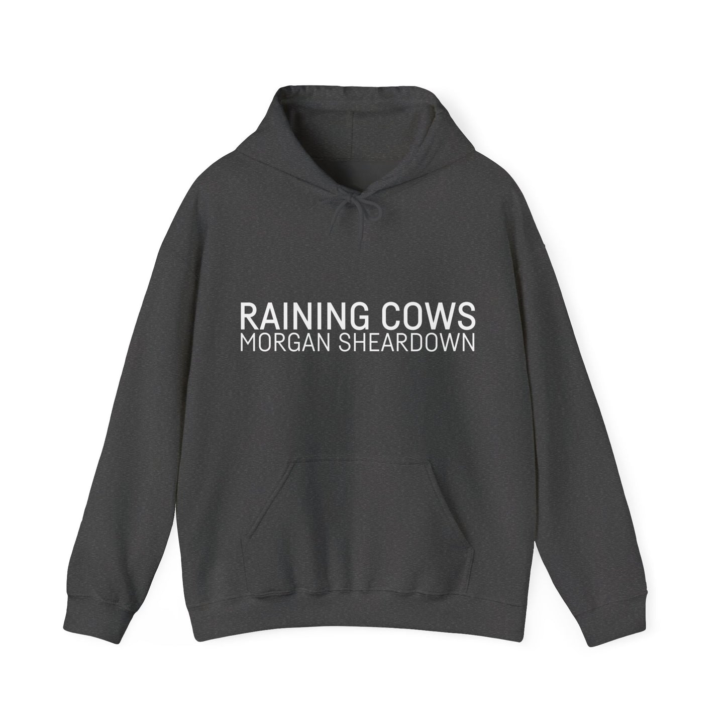 RAINING COWS Hoodie