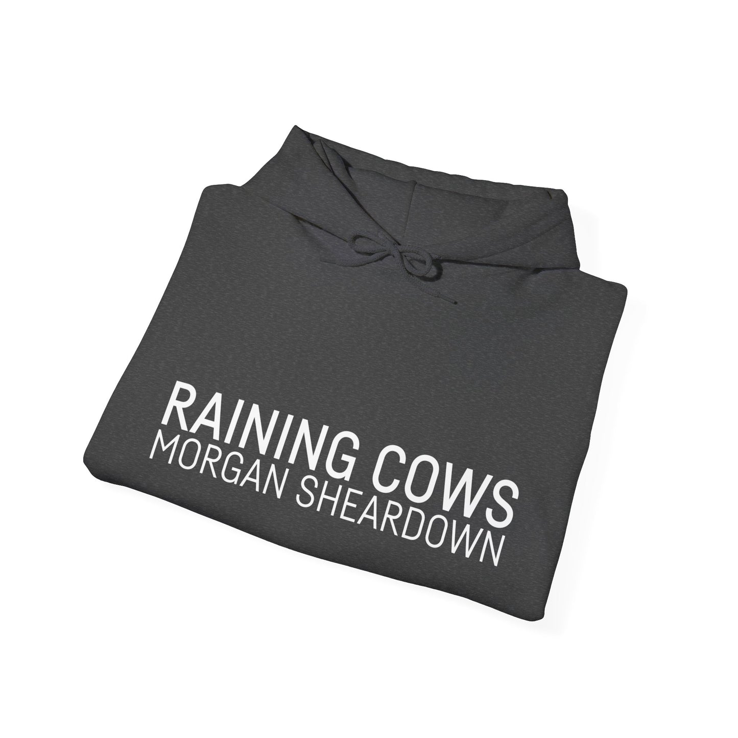RAINING COWS Hoodie