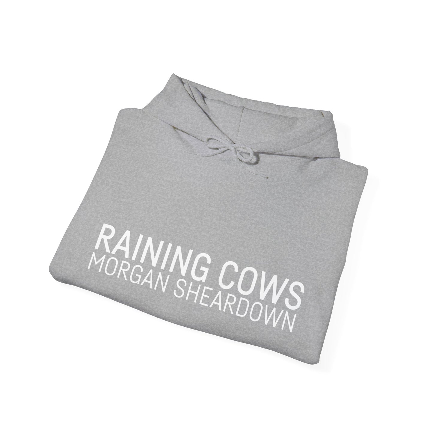 RAINING COWS Hoodie