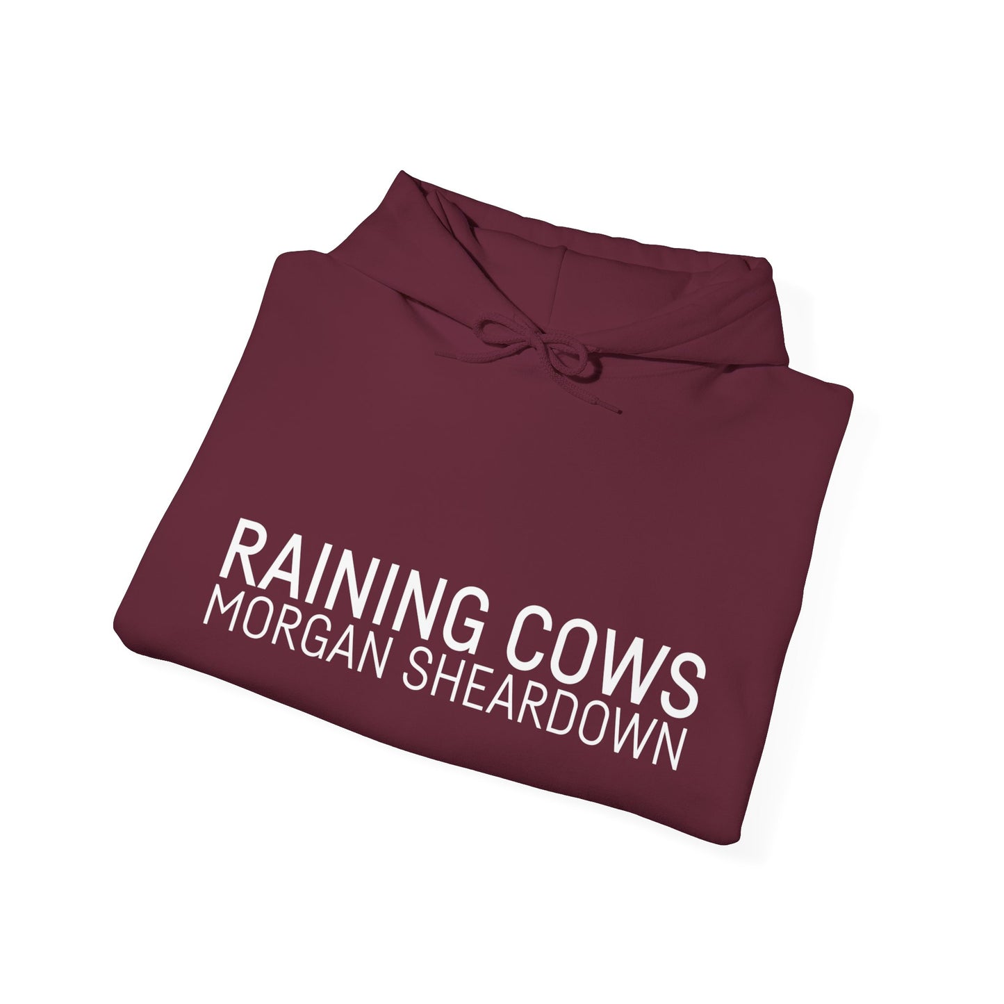 RAINING COWS Hoodie