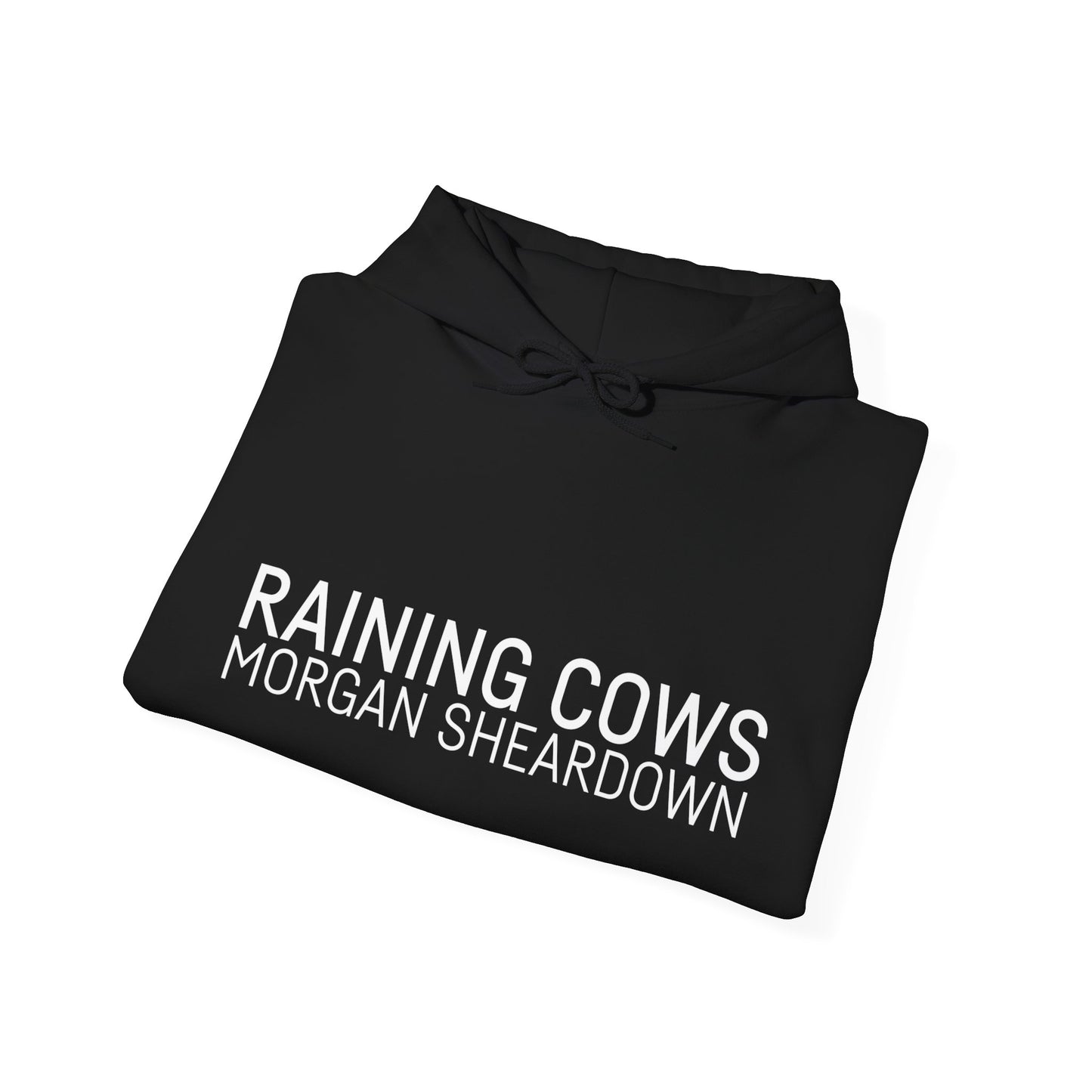 RAINING COWS Hoodie