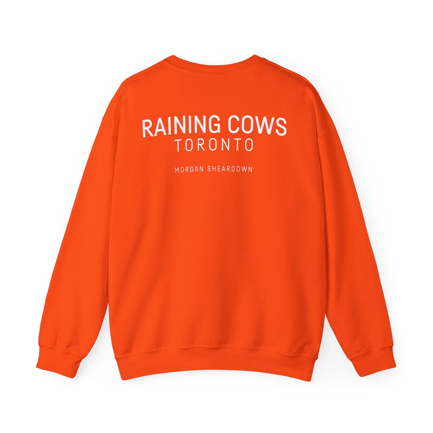 RAINING COWS "The Other Side of Midnight" Sweatshirt