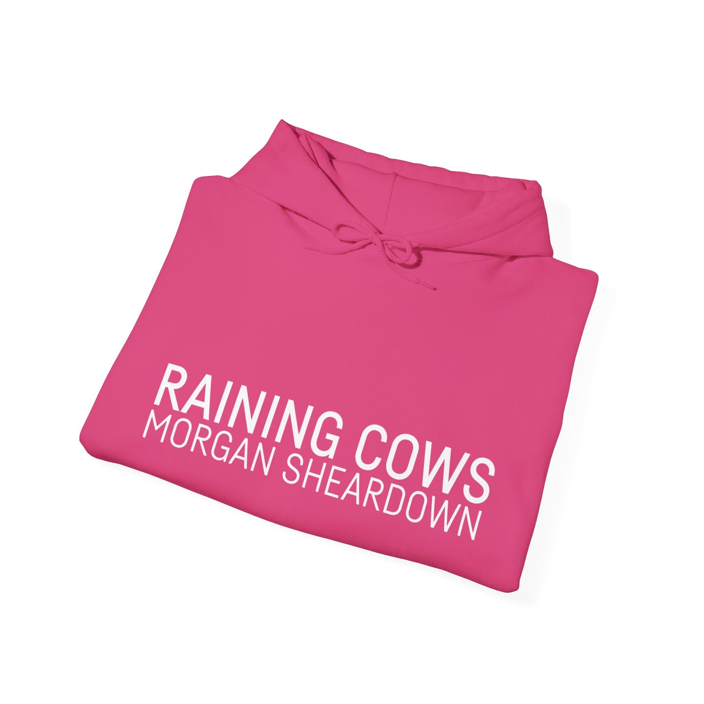 RAINING COWS Hoodie