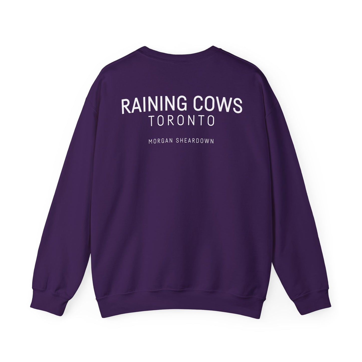 RAINING COWS "Bubble Gum Sun" Sweatshirt