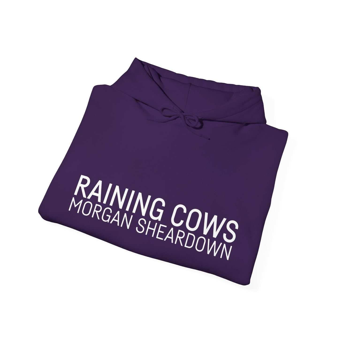 RAINING COWS Hoodie