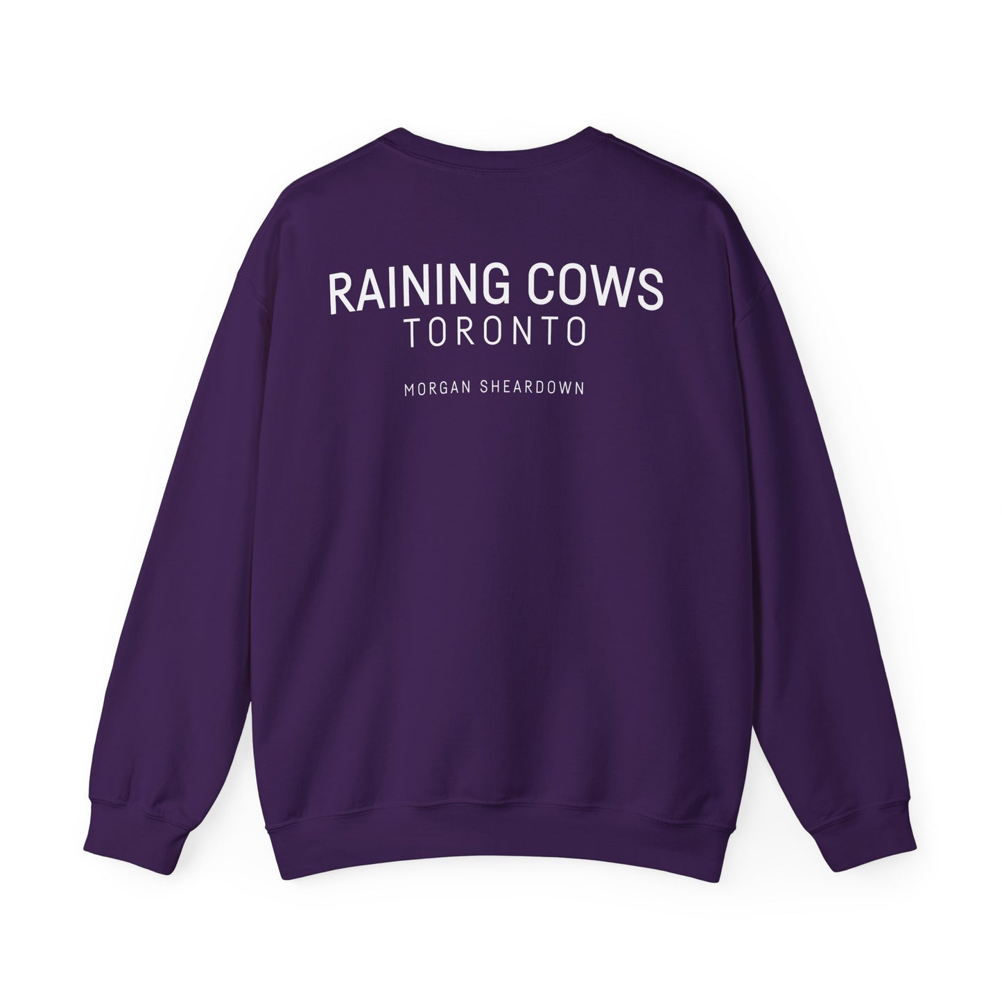 RAINING COWS "Pink Lightning" Sweatshirt