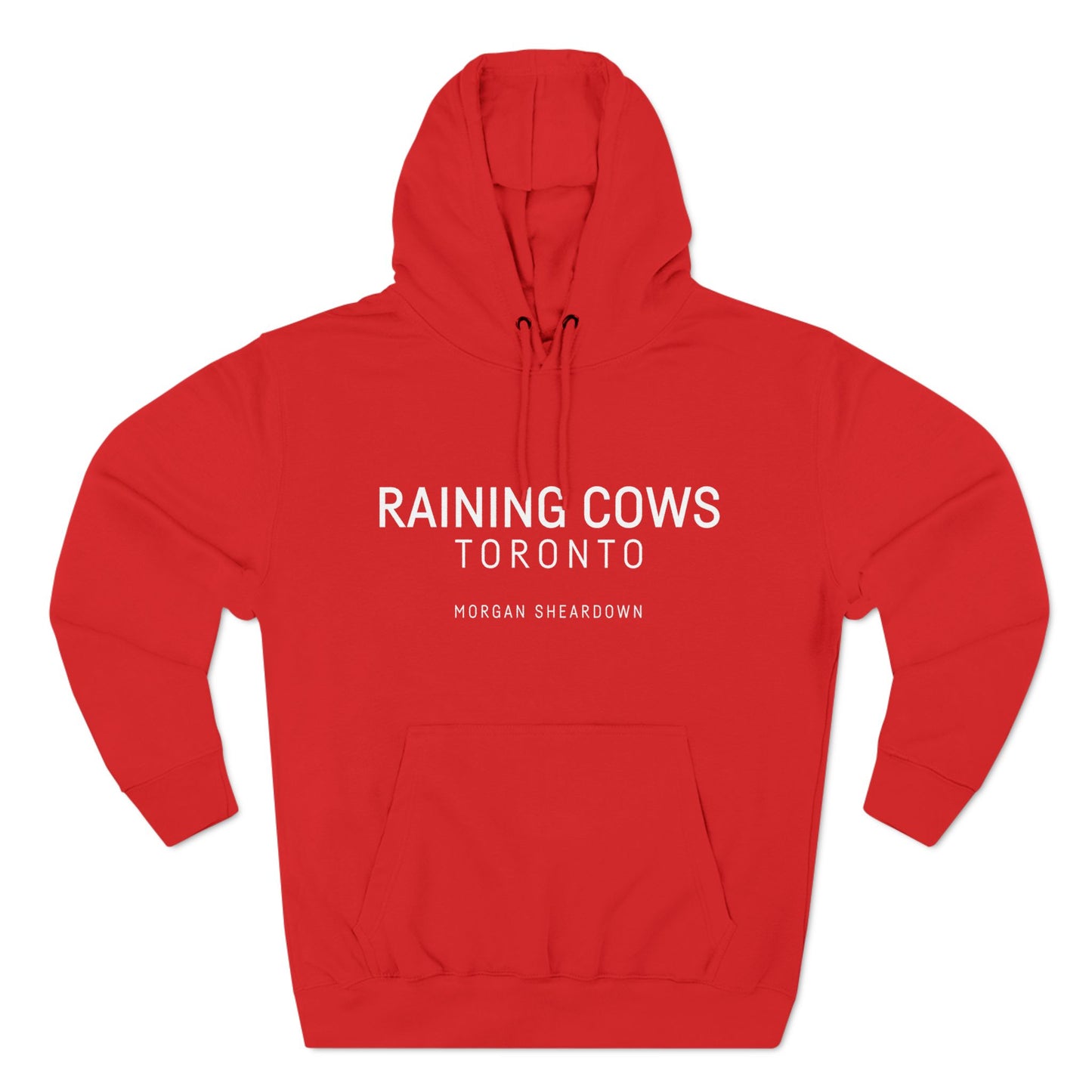 RAINING COWS "Tear Stained Sky" Hoodie