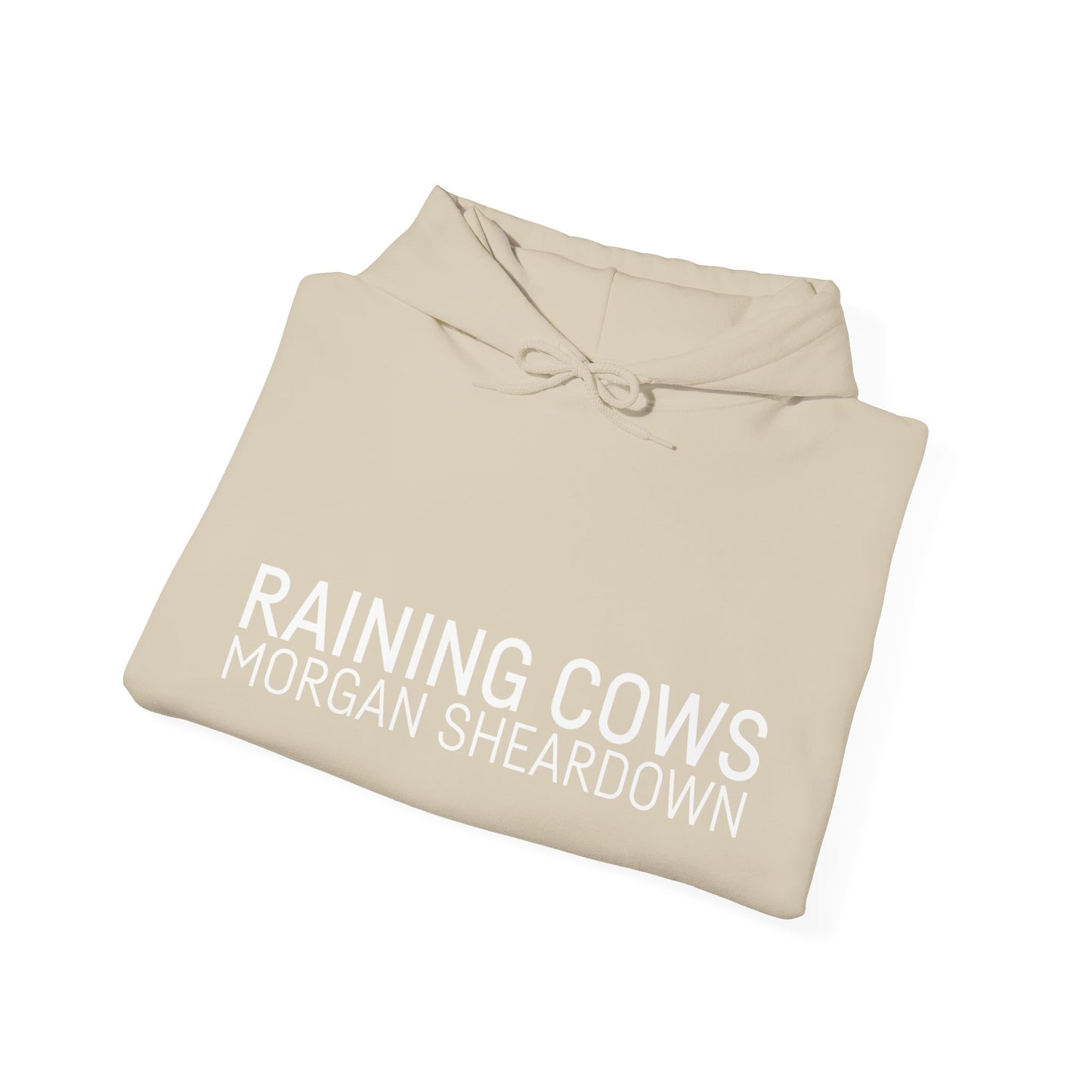 RAINING COWS Hoodie